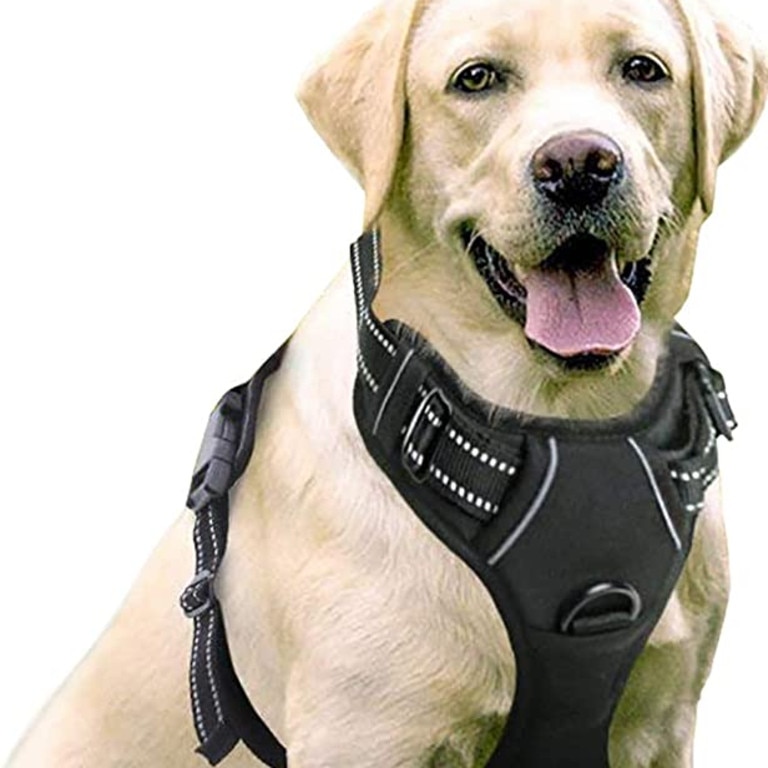 Biothane Dog Harness, Best No Pull Dog Harness