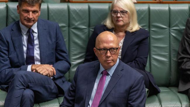 The defeats of the Coalition in NSW, in the other mainland states and federally all involved numerous shared and separate aspects, writes Chris Kenny. Picture: NCA NewsWire / Gary Ramage