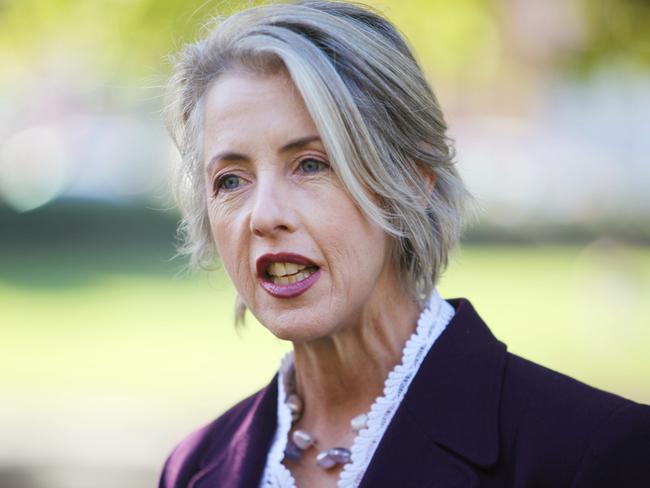 Greens climate change spokeswoman Rosalie Woodruff. Picture: David Killick