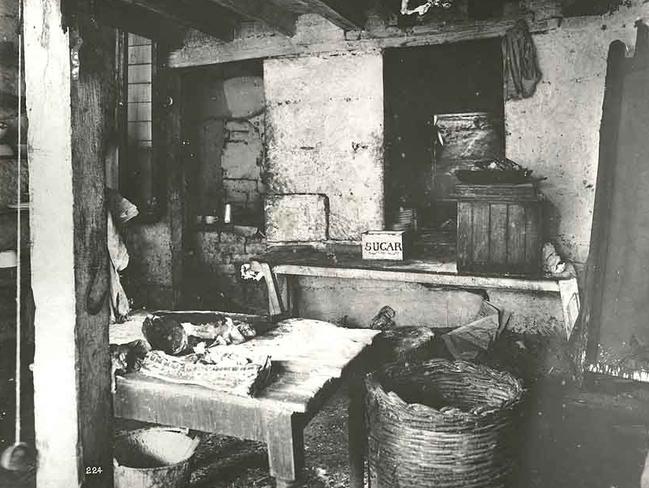 Public Works photographer John Degotardi Jnr recorded the cleansing operations, producing an extraordinary social document of the poverty and squalor, such as was found in this kitchen in George St.