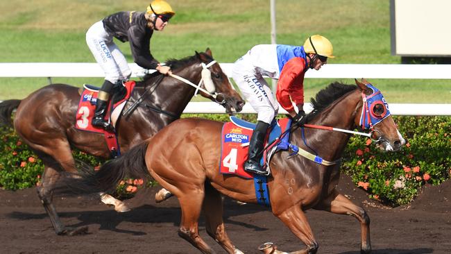 Darwin trainer Kerry Petrick pounces with double win at Fannie Bay | NT ...