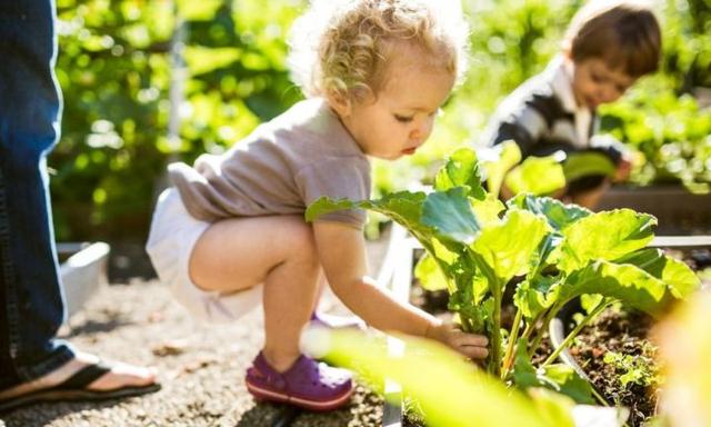 Gardening is a great skill, and a lot of fun. Image: iStock