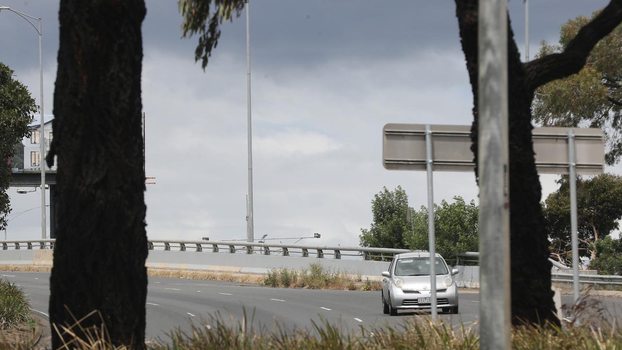 Weeds on the footpath on the Melbourne bound side of the Separation St Bridge on Melbourne Rd. Picture: Alan Barber