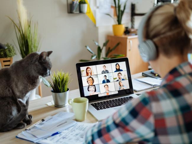 Generic work from home photo for SAWeekend. Portrait of modern woman at home teleconferencing with colleagues while cuddling her cat. Picture: iStock