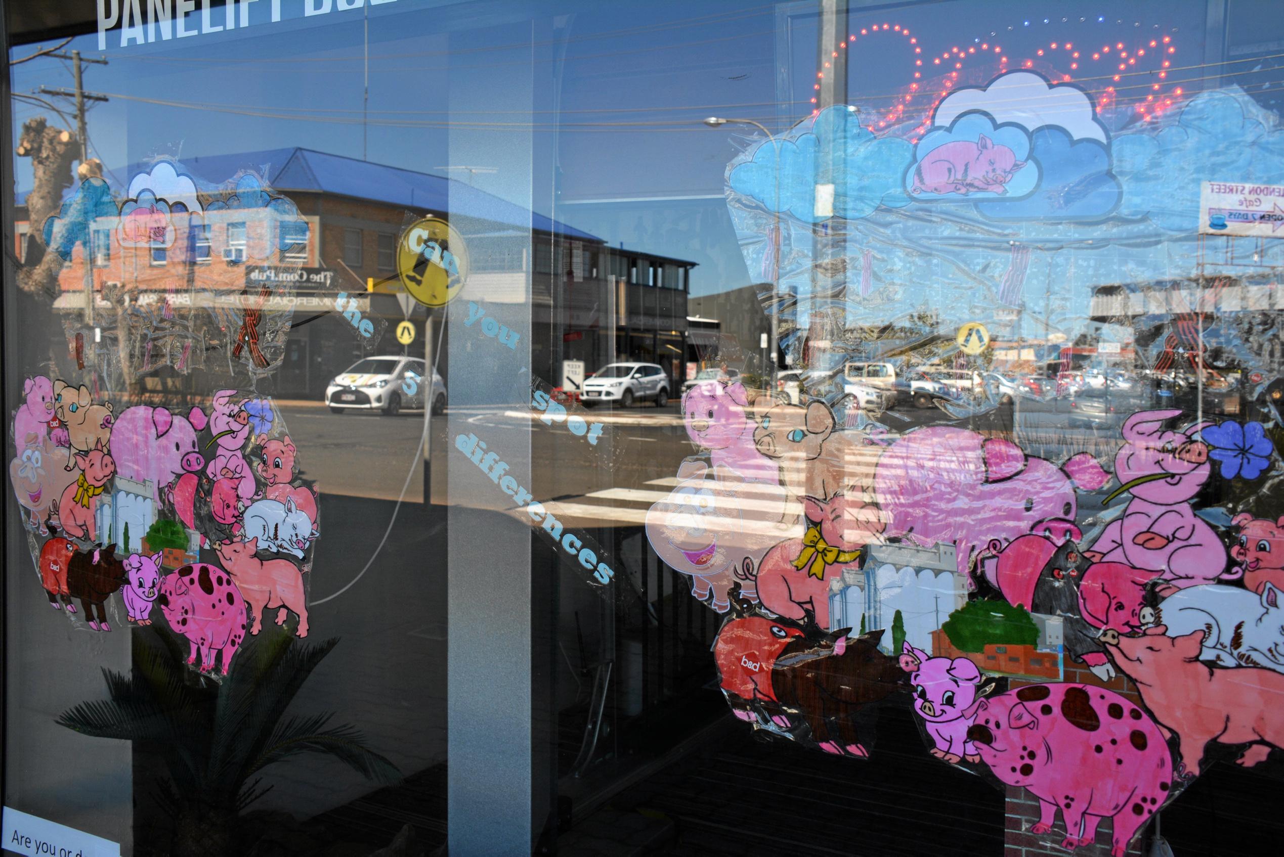 SPOT THE DIFFERENCE: South Burnett Garage Doors got creative with their piggy display for the Kingaroy BaconFest Street Window competition. Picture: Jessica McGrath