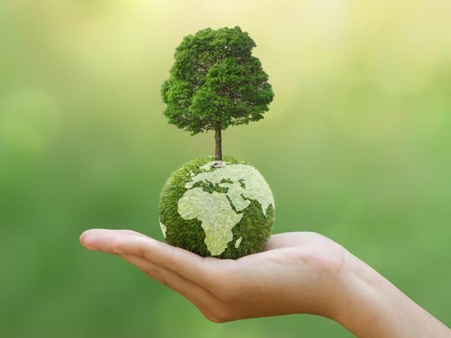 Hand of human holding green earth with tree for ESG, co2, and net zero.Concept of World sustainable environment, Save our Planet, World Environment Day, World Earth Day and Climate change.