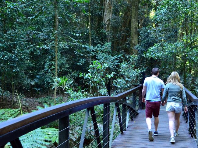 Gold Coast, Australia - October 06, 2014: A couple visit Springbrook National Park in Queensland Australia. It's a World Heritage Rainforest featuring many waterfalls, trees and wildlife.