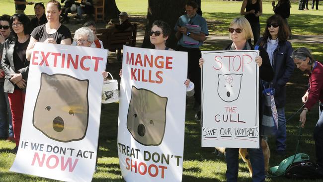 Spectators hold signs at a rally on Parliament Lawns to draw attention to the problem of mange in the wombat population. Picture: MATHEW FARRELL