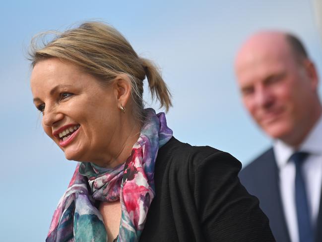 Former environment minister Sussan Ley is expected to become the Liberals’ deputy leader. Picture: NCA NewsWire / Steven Saphore