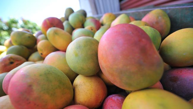 A Blackbutt man has been fined for throwing mangoes at his ex partners house. Photo/File