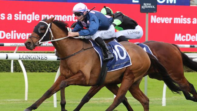 Ron Dufficy and Ray Thomas are both keen on the Chris Waller-trained No Compromise. Picture: Grant Guy