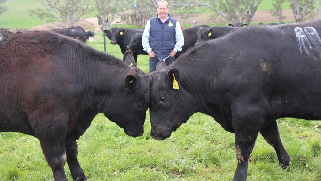 Harry Lawson, at Lawsons Angus, Yea, where 77 bulls averaged $8584.