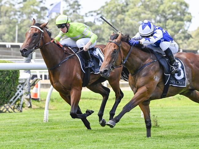 Savvy Hallie (left) will needs some luick from a wide barrier in the Reisling Stakes at Randwick. Picture: Bradley Photos