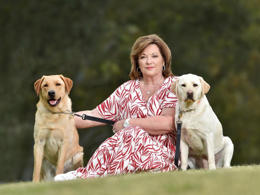 Guide Dogs Victoria vans stolen on Christmas Day | Herald Sun