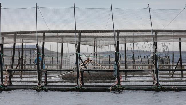 A Huon Aquaculture fish pen. Picture: Huon Aquaculture