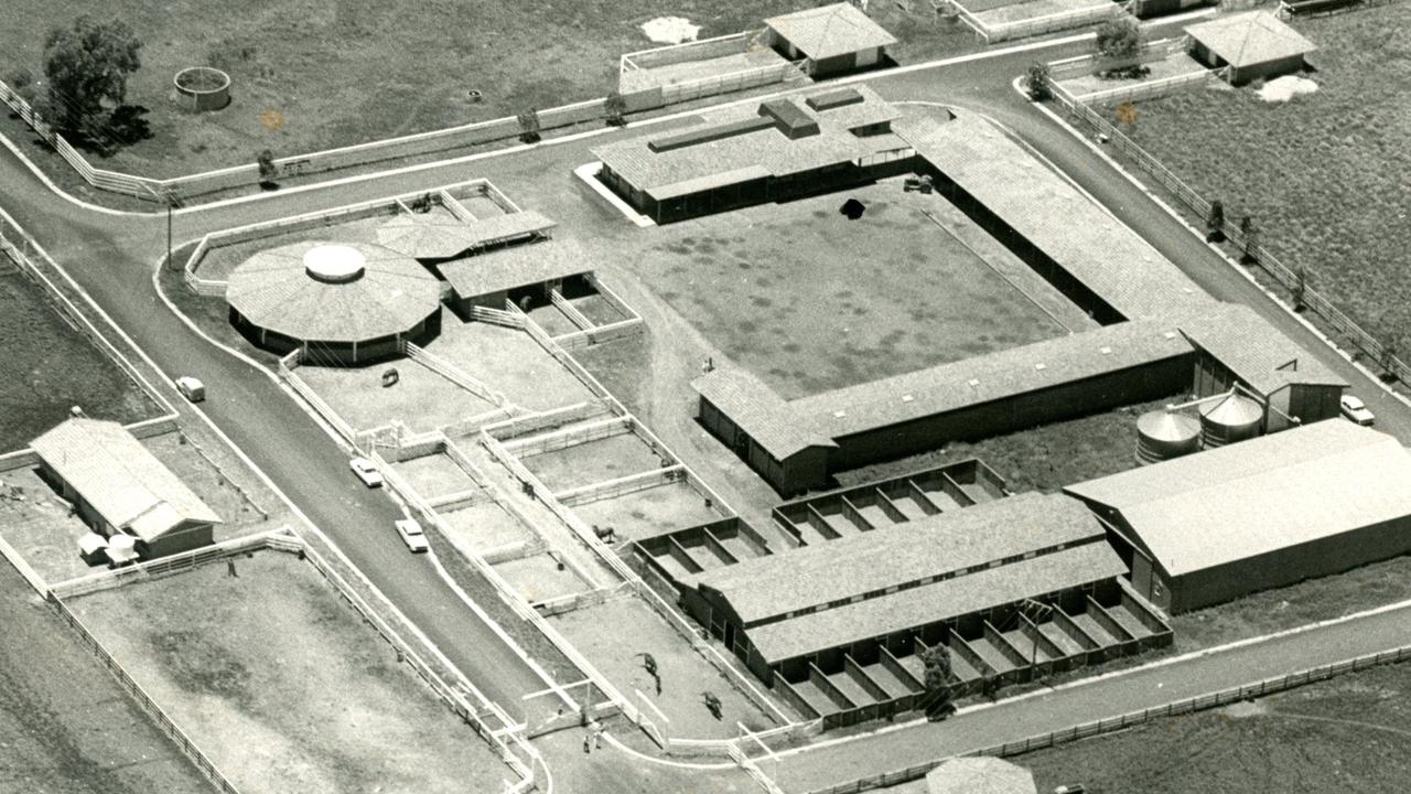 Aerial of Gainsborough Lodge, Wellcamp in 1975. Picture: Contributed