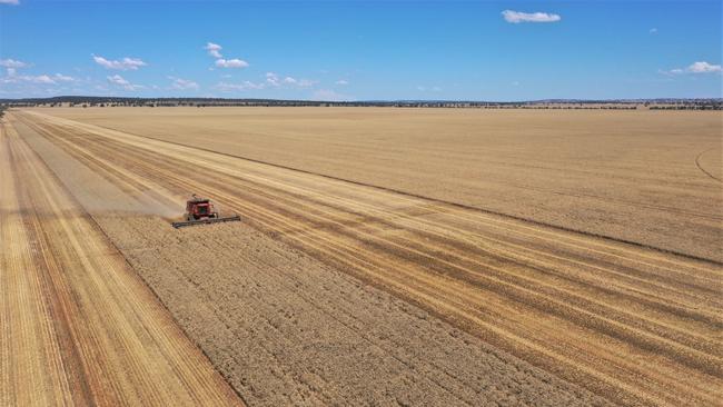 Roseneath at Leeton.