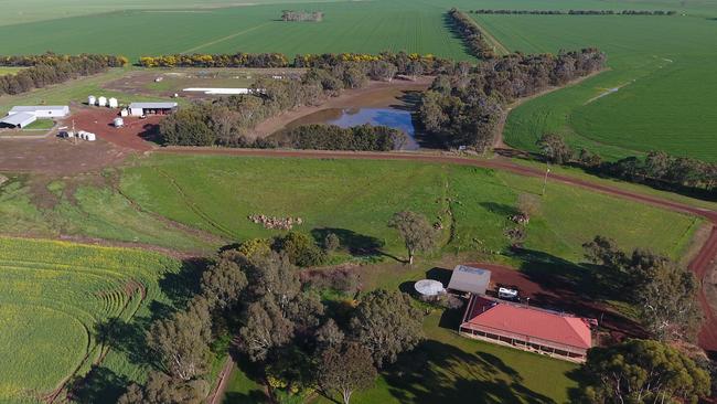 Winter crops canola wheat and faba beans are planted this season at Lime Creek.