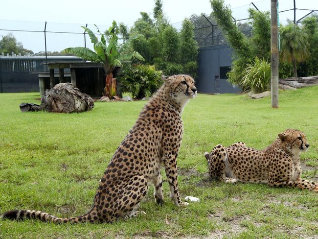 Symbio Wildlife Park. Picture: Toby Zerna