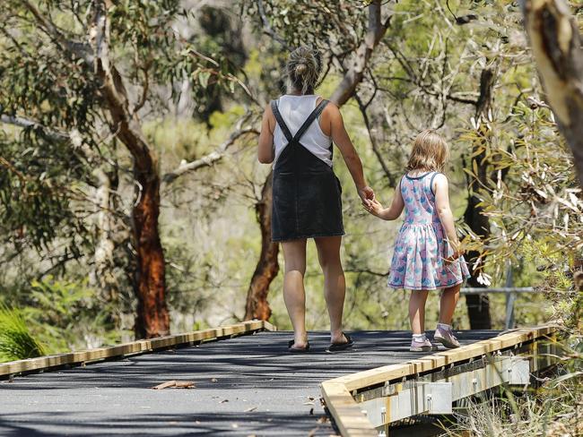 Northern Beaches Council officially opened the Manly Dam Boardwalk and Nature Trail at Manly Dam, Manly Vale  on November 21, 2024.