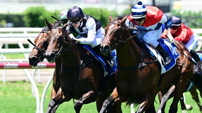 Tony Gollan filly Formula Rossa (black and white) all but sealed her spot in the Gold Coast Magic Millions 2YO Classic with her win at Eagle Farm on Saturday. Picture: Grant Peters/Trackside Photography