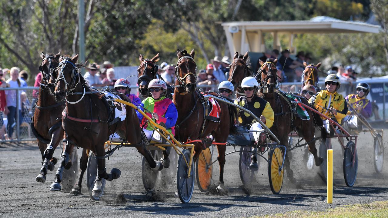 Marburg is holding a pre-Christmas celebration at Sunday’s meeting. Picture: Rob Williams