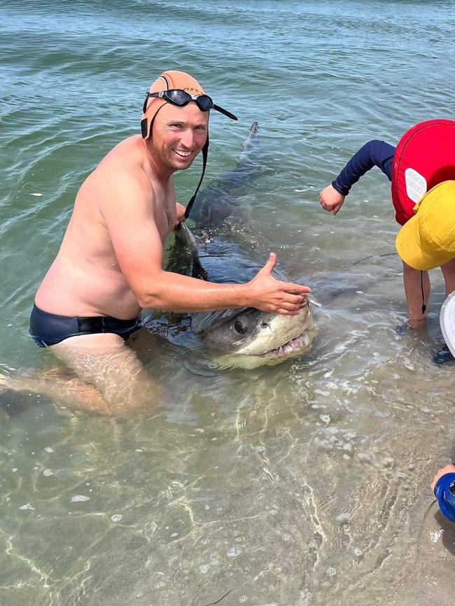 Andrew Hughes with the Great White shark he found near the mouth of the Buxton River