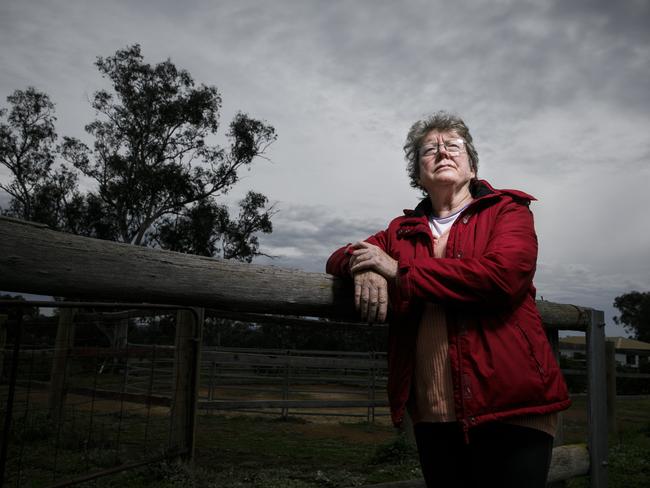 Cathie Morant, a distant relative of Harry ‘Breaker’ Morant, near her home in Canberra. She is among those pursuing a Sheean-style expert review, as well as a posthumous pardon, for Harry and two comrades, convicted in 1902 of murdering Boer prisoners. Picture by Sean Davey.