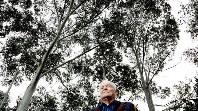 Adam Ainsley in his backyard at Kings Park where three large trees are endangering his home.