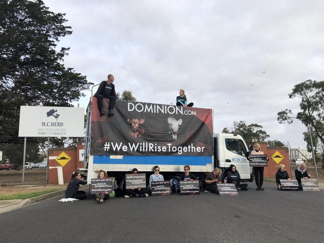 Vegan protesters at MC Herd in Geelong. Picture: Alan Barber