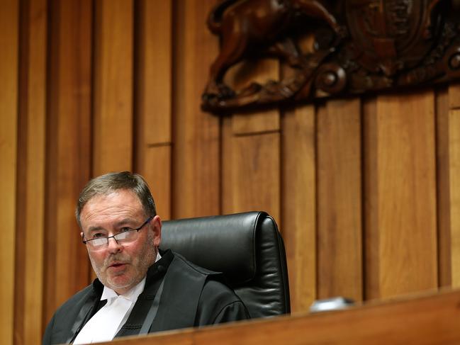 Justice Geason said he excepted claims by White’s council that her initial exchange with police was intended to warn them of a risk because of the dogs’ protective nature towards her. Picture: SAM ROSEWARNE.