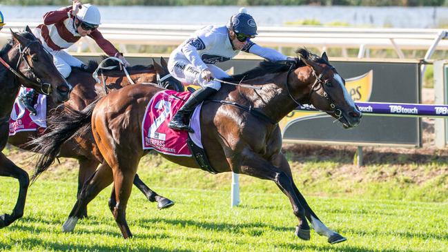 Overpass is the horse to beat in the Winterbottom Stakes on Saturday.