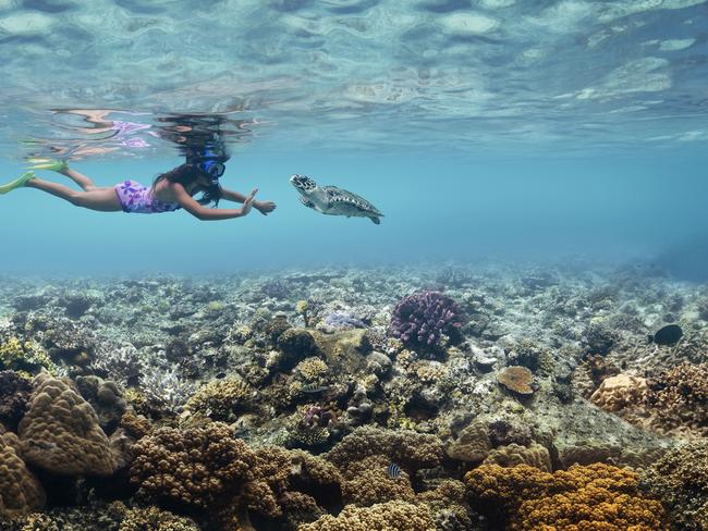 ESCAPE:  Girl snorkelling and waving at turtle in coral reef, Fiji. Picture: Tourism Fiji