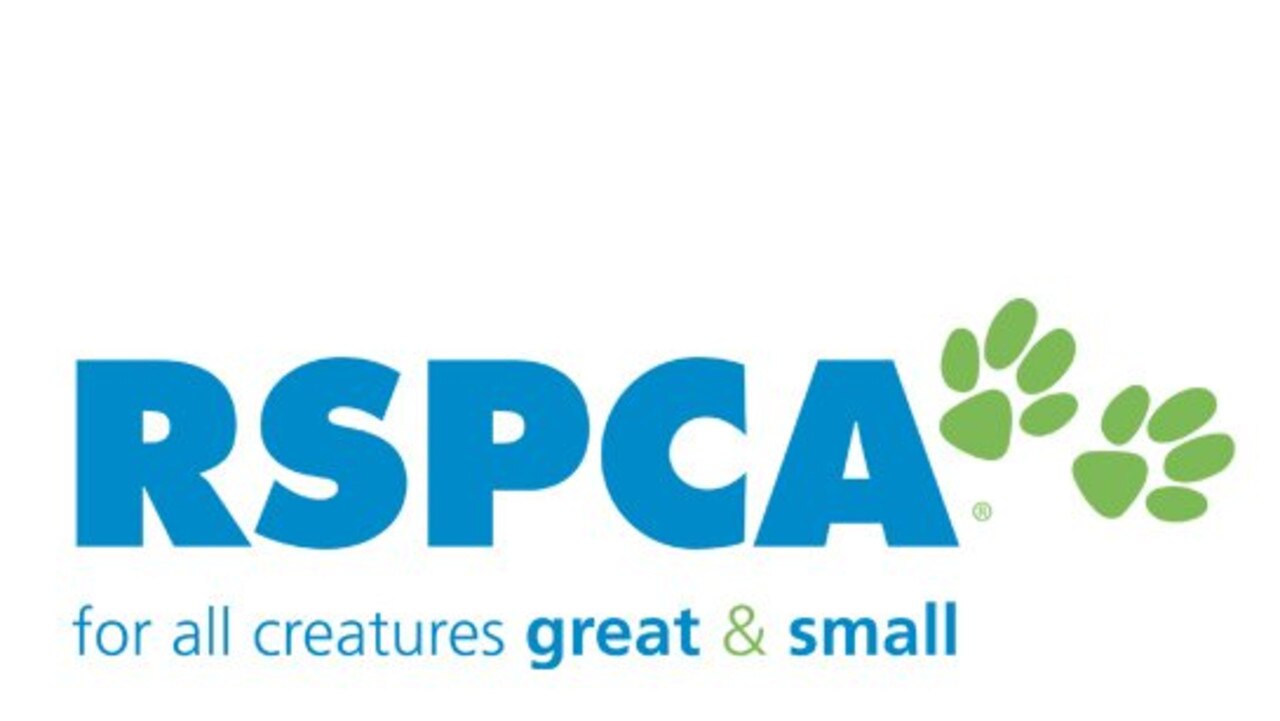 The RSPCA prosecuted the woman in Toowoomba Magistrates Court.