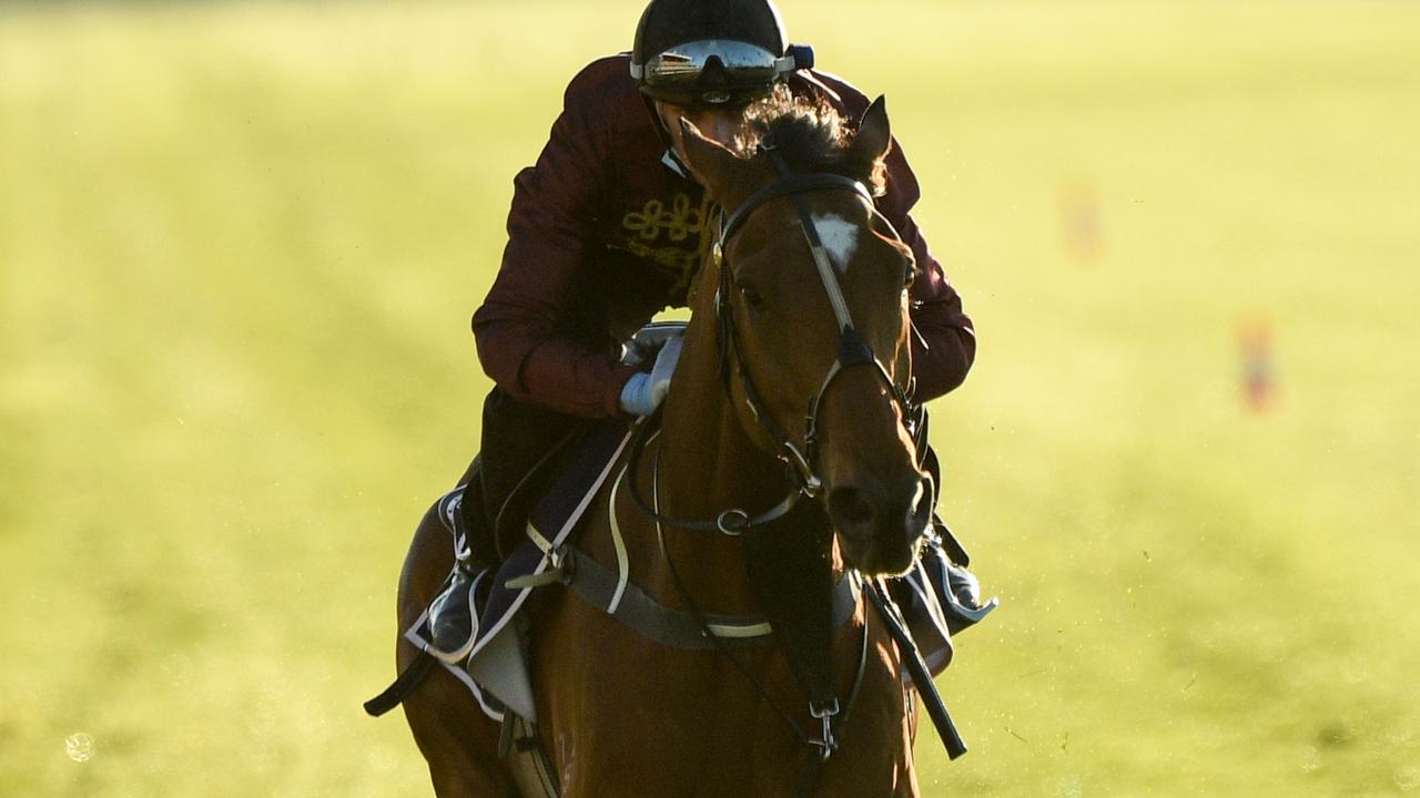 Flemington Trackwork Session