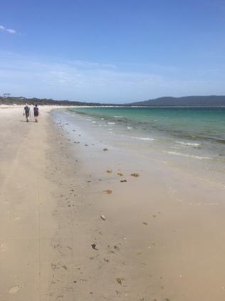 Walking along the beach at Maria Island.