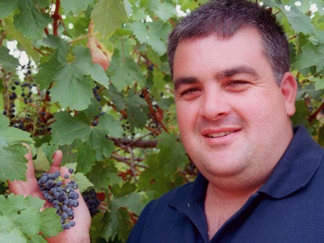 Undated.  David Littore inspects four-year-old cabernet sauvignon grape vines growing under regulated deficit irrigation at Dareton, NSW.