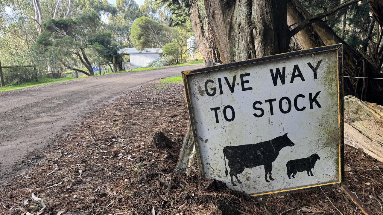 Two bodies have been found on an isolated track on the state’s southwest coast after a shooting. Picture: Alan Barber