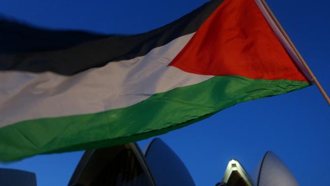 Canterbury-Bankstown Council will debate flying the Palestinian flag on Tuesday night. Picture: Lisa Maree Williams/Getty Images