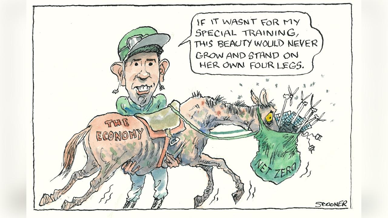 Cartoon: John Spooner