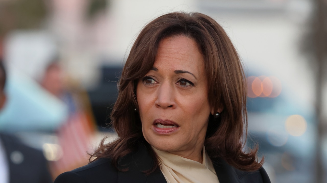 Democrats ‘stuck’ with Kamala Harris after Joe Biden's exit