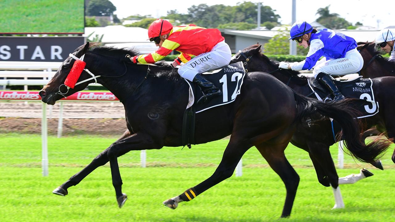 David Vs Goliath: Toowoomba Trainer On $1m Mission In Sires’ 