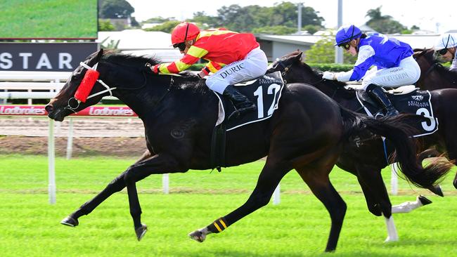 Kevin Kemp has filly Jemoma Alpilage in the $1m BRC Sires' Produce at Eagle Farm on Saturday. Picture: Grant Peters, Trackside Photography.