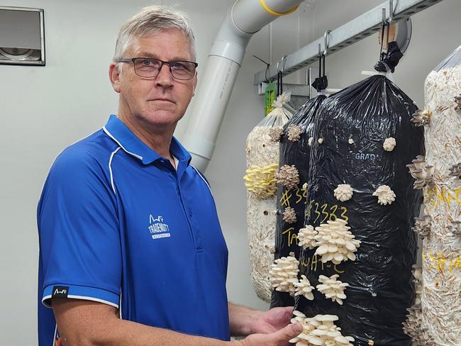 Mushroom farmer Josef Sestokas. Picture Supplied