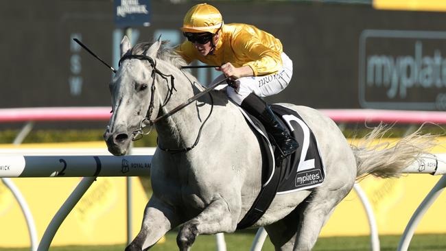 Bois D'Argent won the JRA Plate last start. Picture: Getty Images