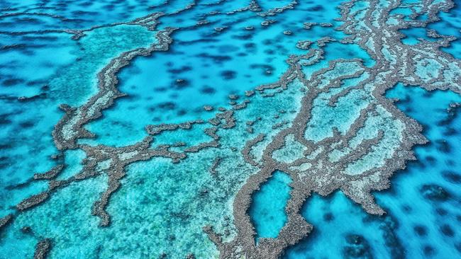 China has bullied the UN to say that the Great Barrier Reef is in danger.