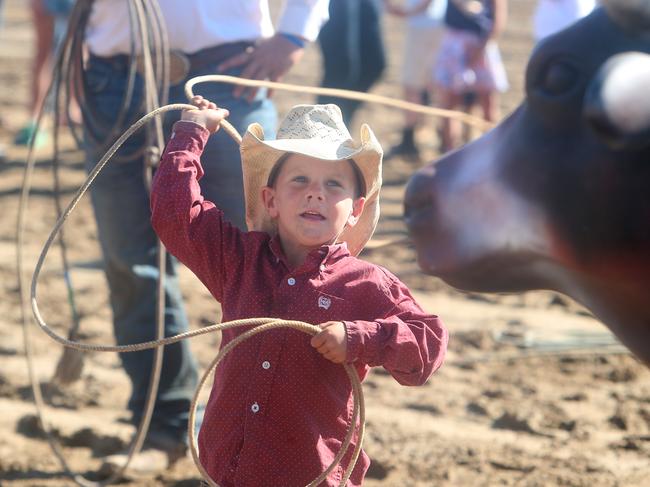 Chad Evison, 4, from Echuca, practices roping. His father Terry supplied the bulls for the rodeo, and competed in steer roping. Picture: Yuri Kouzmin