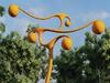 Council backflips on controversial element of Cyclone Tracy memento