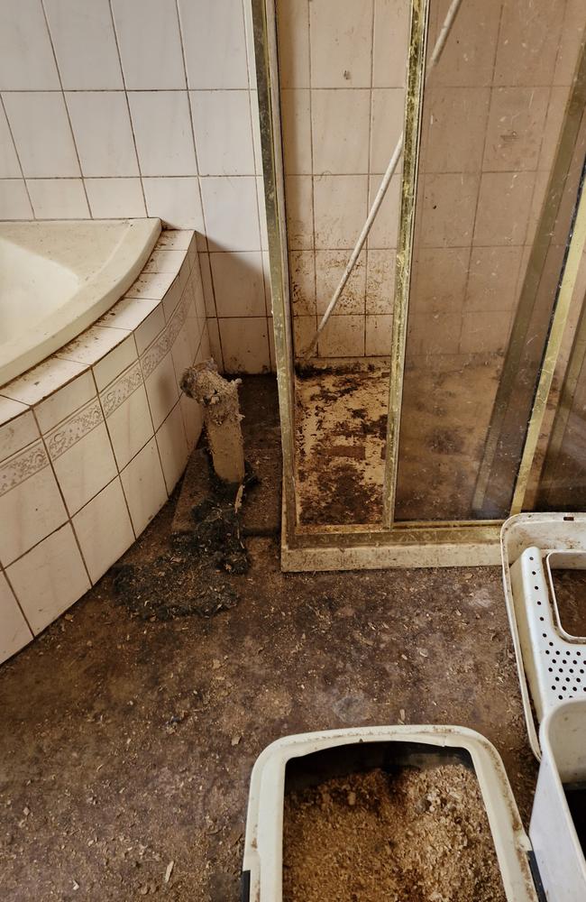 Unsanitary conditions at the Ararat property. Picture: RSPCA