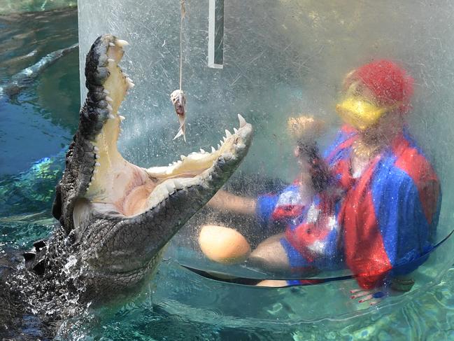 Sydney Drag Queen WondaMama takes on top end saltie Leo in the Cage of Death. Picture: (A)manda Parkinson